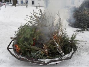 weihnachtsbaumverbrennung